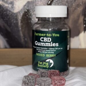 CBD Gummies Bottle and CBD Gummy